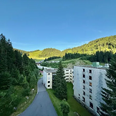 313, Au Pied Des Pistes De Avec Superbe Vue * La Bresse