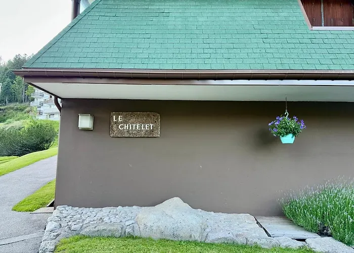 313, Au Pied Des Pistes De Avec Superbe Vue