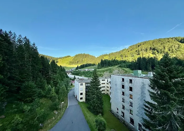 313, Au Pied Des Pistes De Avec Superbe Vue * La Bresse