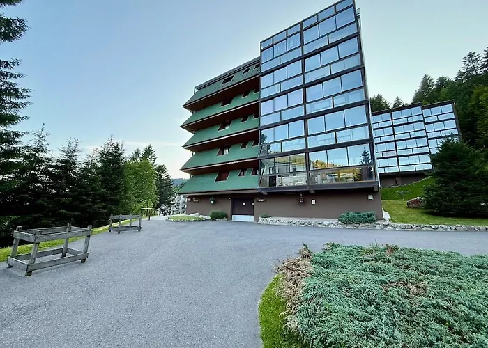 Apartmán 313, Au Pied Des Pistes De Avec Superbe Vue La Bresse